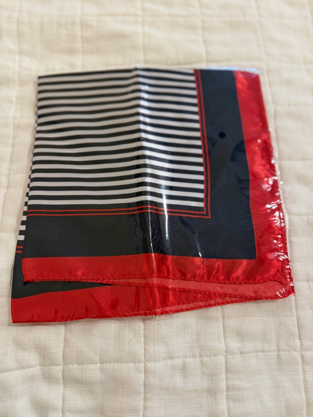 Striped Silk Scarf with Red Border